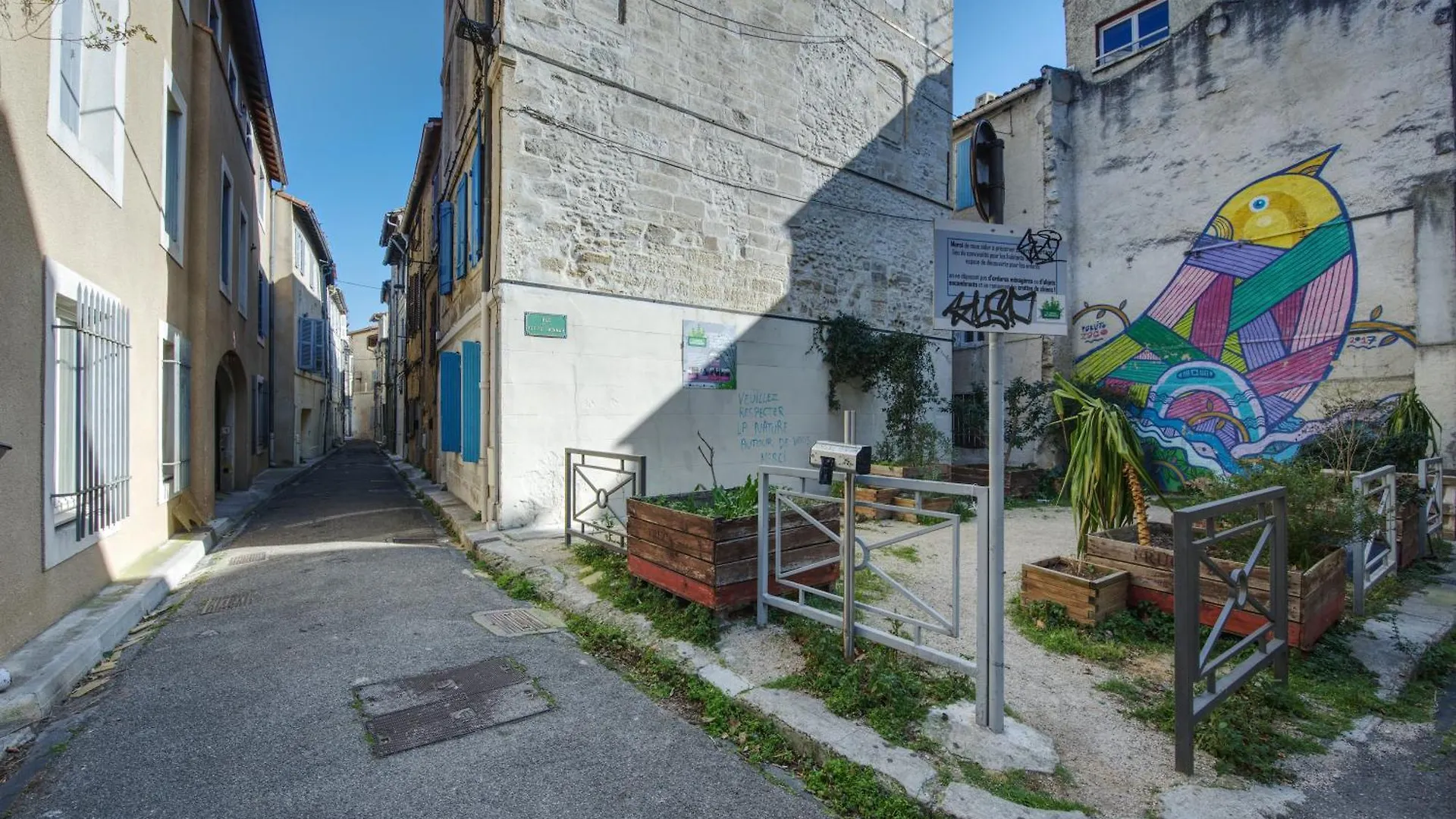 Appartement Cosy Avignon Centre-Ville